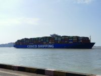 迄今載運第三屆進博會最多展品的巨輪抵達洋山港，船上裝了這些