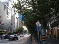 福州路文化周開幕，為年輕人策劃了這些活動