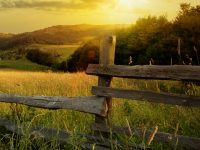 明年1月1日起,上海“家庭農場”有法可依了 明年1月1日起,上海“家庭農場”有法可依了