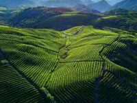 17個項目簽約,總投資近300億元,這座城市為何選擇與上海牽手? 17個項目簽約,總投資近300億元,這座城市為何選擇與上海牽手?