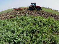 一場國家級比賽，上海“小產業”脫穎而出