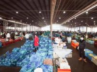 今年最強寒潮來襲，老百姓的“菜籃子”無恙吧？這里有圖有真相……