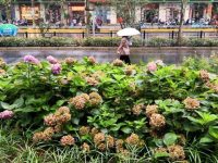 這種房間，上海市民人均一間，有些曾是家門口“邊角料”