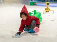 上海室內雪場火了