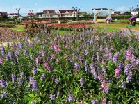 過年不離開上海怎么玩？這些藏在鄉村的精品線路、休閑線路了解一下