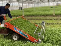 10萬畝“無人農場”將在上海出現 10萬畝“無人農場”將在上海出現