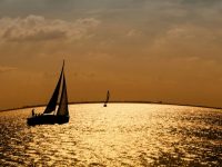 長三角示范區軌交建設新動向：地鐵17號線西延至西岑站正在公示