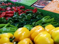 年終歲末又有人哄抬菜價?市場監管部門發提醒告誡函:情節嚴重的吊銷執照 年終歲末又有人哄抬菜價?市場監管部門發提醒告誡函:情節嚴重的吊銷執照