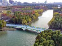 打造“公園城市”，上海今年將新增120座公園，建環城生態公園帶