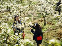 復蘇超預期,清明機票價格接近疫情前,預計“五一”更熱 復蘇超預期,清明機票價格接近疫情前,預計“五一”更熱