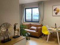 上海這個區在黃金地塊建公租房，可拎包入住，沙發顏色、電視機尺寸都能選擇