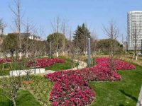 上海中心城區又一大型綠地對外開放，總面積超過4000平方米