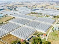 長三角這條黃金走廊被正式納入國家“十四五”規劃 長三角這條黃金走廊被正式納入國家“十四五”規劃