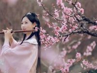 時隔一年，上海桃花節再次開幕，5大名鎮推出5條精品線路