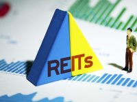 公募REITs真要落地了，首批申報項目竟然來自這個領域