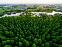 軌交崇明線進展如何?北沿江高鐵今年動工嗎?崇明區發改委主任詳細解答 軌交崇明線進展如何?北沿江高鐵今年動工嗎?崇明區發改委主任詳細解答