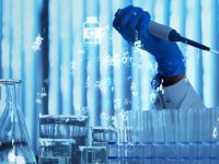 實現“墻內開花墻內香”，上海要這樣打響生物醫藥“張江研發+上海制造”品牌