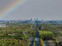 奉賢圍繞新城怎么建展開大討論，土地、審批、融資等成重點議題