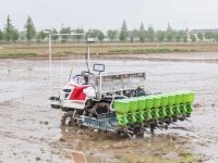 在上海崇明和江蘇鹽城承包3萬畝土地，叮咚買菜啟動大米訂單種植項目