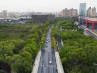 上海浦東18條路段“老路換新顏”，看看有你家門口的嗎？