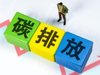 又一全國性市場在上海開市,企業在此爭做“賣碳翁” 又一全國性市場在上海開市,企業在此爭做“賣碳翁”