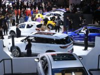 上海在這個領域拿下多項全國冠軍