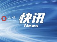 市場監管稅務信息共享，上海已有7.6萬戶企業辦理簡易注銷登記