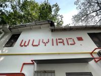 上海這些老弄堂在悄悄變美！“幕后推手”竟是一群“95后”