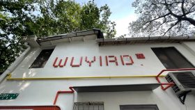 上海這些老弄堂在悄悄變美！“幕后推手”竟是一群“95后”