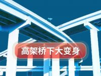 注意注意，上海高架橋下驚現斑馬、獵豹、火烈鳥，還有各種巨型“盆景”