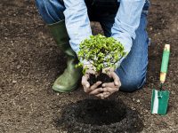 沿外環兩公里一座公園三公里一座驛站，耗時15年的生態巨制讓上海市民說了算