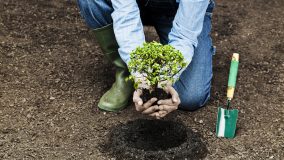 沿外環兩公里一座公園三公里一座驛站，耗時15年的生態巨制讓上海市民說了算
