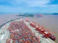 上海港8月集裝箱吞吐量再破單月紀錄