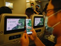 一架飛機如何做到碳中和？全國首個全生命周期碳中和航班來了