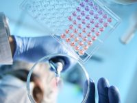 摩根大通梁治文：未來兩天將舉辦首屆摩根大通全球醫療健康產業年會上海論壇