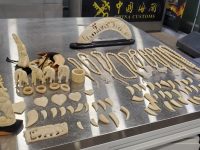 走私罰沒的象牙、穿山甲,除了銷毀封存還能怎樣?在上海,博物館接管了 走私罰沒的象牙、穿山甲,除了銷毀封存還能怎樣?在上海,博物館接管了