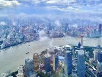 用文化溫暖都市“森林”，陸家嘴金融城文化節開幕