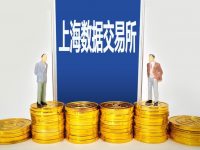 上海數據交易所“首單”！電力公司推出的數據產品，為何拔得頭籌？