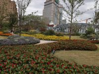 上海市中心，原本廢棄的地鐵上架變成網紅打卡地？百年南昌路再添新景！