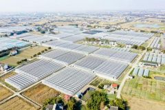 京東方等企業紛紛到上海郊區拿地種菜，在謀劃什么？