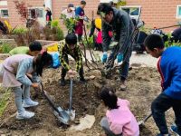 上海小區1600平綠化空間，一半居民要種菜，另一半不同意，怎么辦？