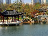 上海世博文化公園北區年底即將開放,這些打卡點或成“網紅”,記者帶你先睹 上海世博文化公園北區年底即將開放,這些打卡點或成“網紅”,記者帶你先睹