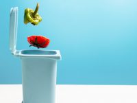 五個新城有革新還要有敘舊,專家建議探索廚余垃圾粉碎直排和地埋式收集 五個新城有革新還要有敘舊,專家建議探索廚余垃圾粉碎直排和地埋式收集