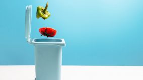 五個新城有革新還要有敘舊，專家建議探索廚余垃圾粉碎直排和地埋式收集