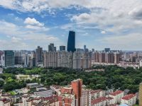 上海這個區累計推出14個人才公寓項目，另有5300套保障性租賃房加緊建設