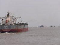 上海江蘇水上交通“一次報告，全線暢通”，長三角港航一體化發展有了新成果