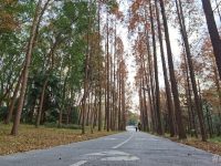 上海部分環城公園設計方案基本確定，為這種聲音幾易其稿