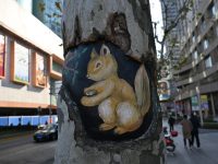 一批“小動物”，竟然爬上了四川北路和北外灘的行道樹