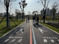 用綠道串聯生態資源，浦東今年完成40公里，其中一條綠道日人流量超6000