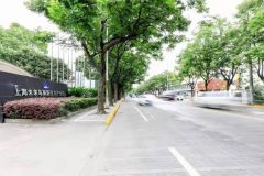 這些世界級企業何以被這片園區吸引–上海這條“10億元街”，真不是噱頭